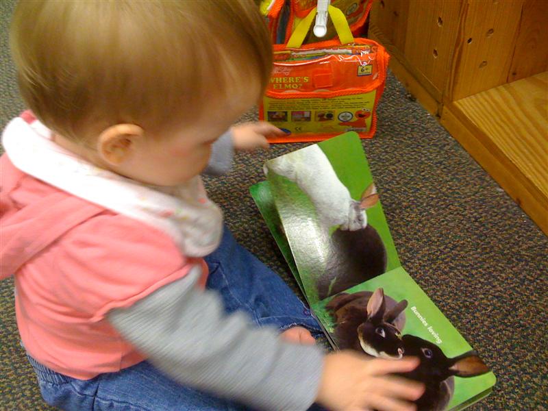 Jess_BunnyBook (2) (Medium).jpg - Daddy, what are these bunnies doing?...